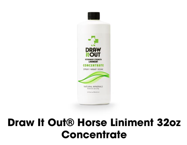 Draw It Out® 16oz Sprayer: The Ultimate Mixing & Application Tool for Horse  Care – Draw it Out®